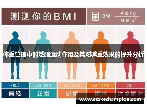 体重管理中的燃脂运动作用及其对减重效果的提升分析